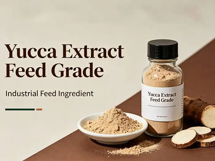 How Yucca Extract Feed Grade Works as a Natural Feed Additive for Modern Farming